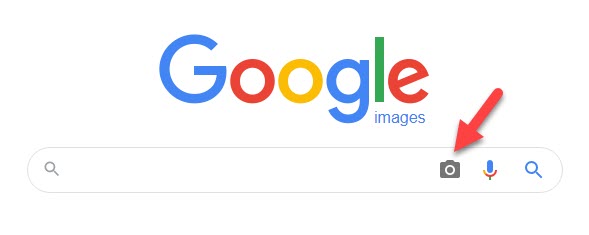 Google Reverse Image Search