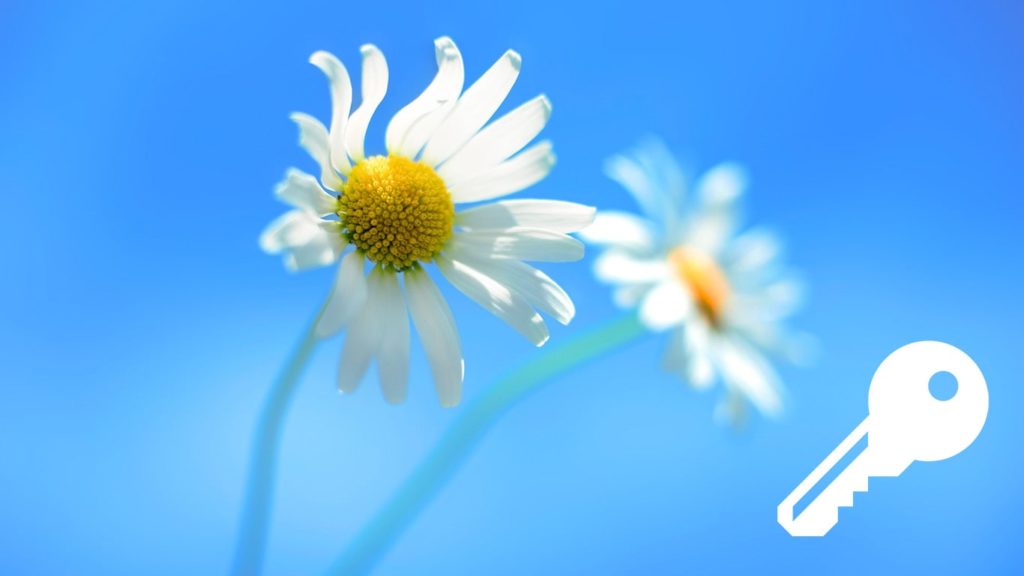 Recover Windows 8 Product Key