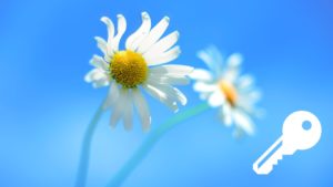 Recover Windows 8 Product Key