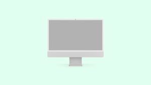 Mac Computer Gray Screen