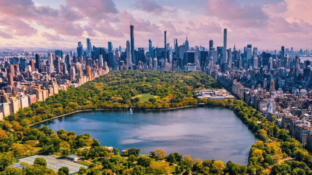 Data Recovery Services in New York