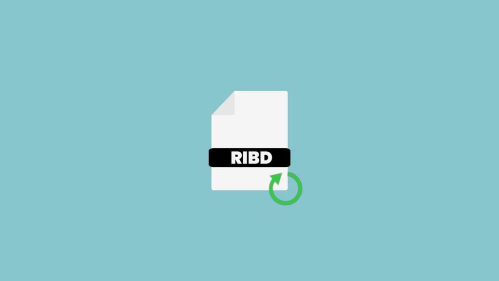 Recover RIBD Files