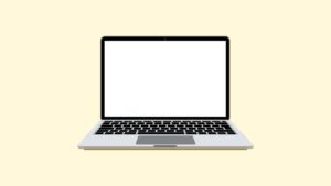 Windows PC with White Screen of Death