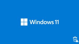 Corrupted Recycle Bin on Windows 11