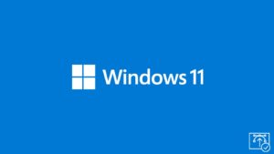 Windows 11 Vector Image