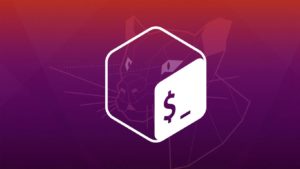 Ubuntu Bash