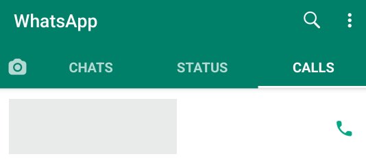 WhatsApp Calls Section